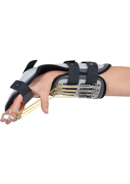 Termoplastik Kleinert Ateli - (S) - Sol