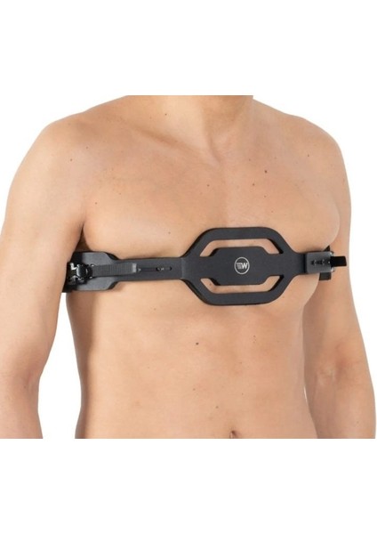 W453 Güvercin Göğsü Yetişkin