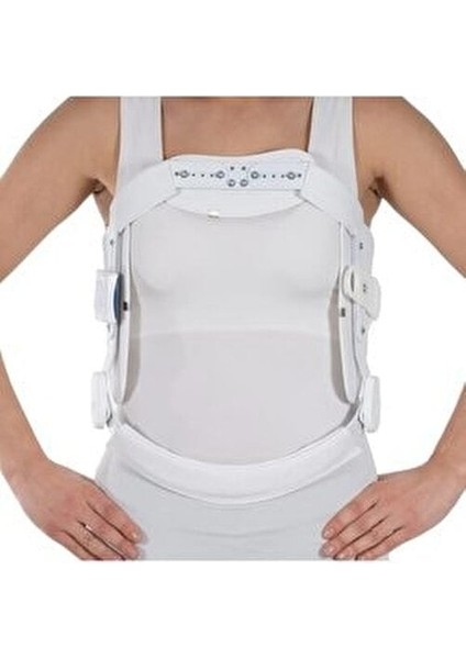 Hiperekstansiyon Korse Lüks Jeweet Gövde Yüksekliği 54-60 cm Large fiyatları