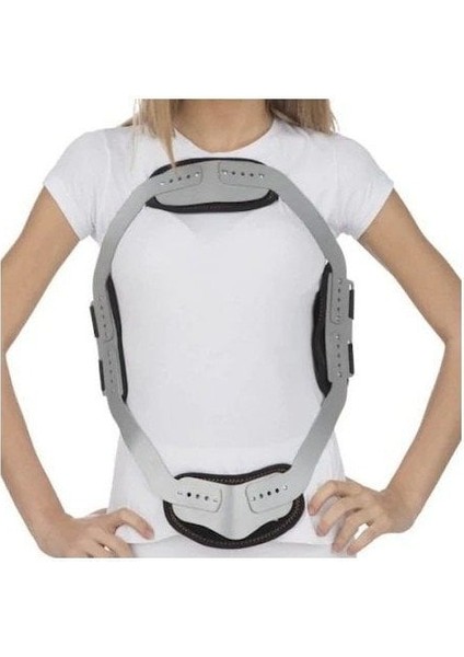 Jeweet Korse Jeweet Hyperextansion Korse Gövde Yüksekliği 50--60 cm Medium