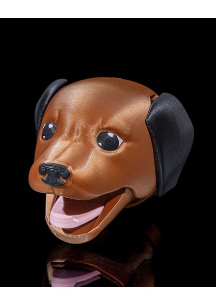 Cool Köpek Askılık Köpek Hareketli Duvar Askısı