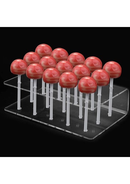 Kek Lolipop Tutucu Ekran Standı Akrilik Tutucu Düğün Için 15 Delik Temizle Dayanıklı Şekerlik Doğum Günü Tatlısı Standı (Yurt Dışından)