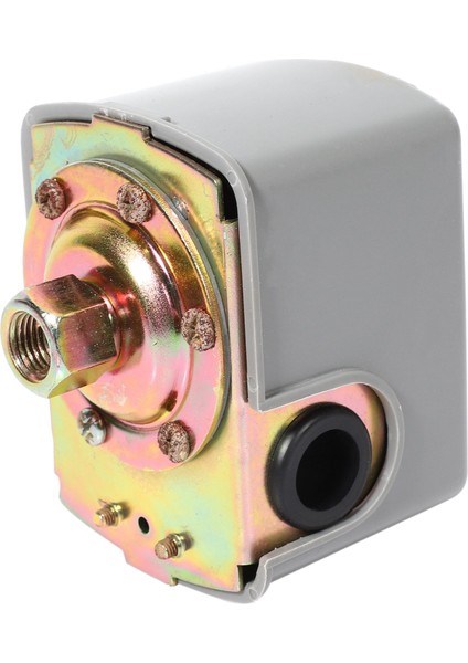 Kuyu Suyu Pompası Basınç Kontrol Anahtarı Ayarlanabilir Çift Yaylı Kutup (Yurt Dışından)