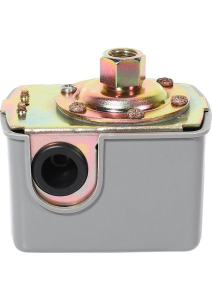 Kuyu Suyu Pompası Basınç Kontrol Anahtarı Ayarlanabilir Çift Yaylı Kutup (Yurt Dışından) fiyatları