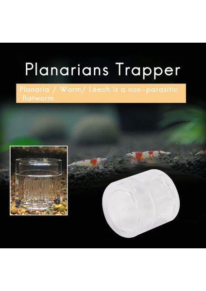 Akvaryum Tankı Plastik Yakalayıcı Tuzak Boru Trapper Planarian Solucan Sülükler Için 8 Delik Şeffaf (Yurt Dışından) fırsatları