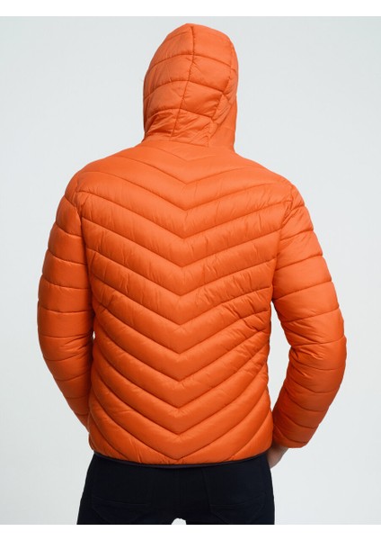 Regular Fit Erkek Mont