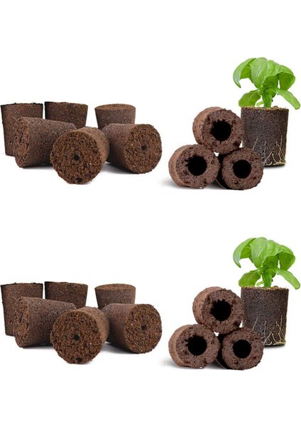2x Bitki Yetiştirme Süngerleri Bahçe Topraksız Kapalı Bahçe Akıllı Sünger, Besin Maddeleri, Yedek Büyüme Pod (Yurt Dışından)