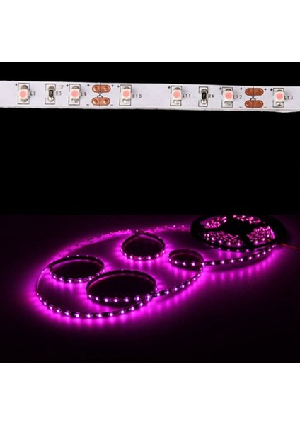 3x 3528 Smd 300 Pembe LED Esnek Şerit Işık Araba Oto Ev Bar 12V 5m (Yurt Dışından) fiyatları