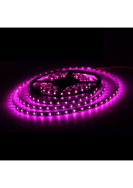 3x 3528 Smd 300 Pembe LED Esnek Şerit Işık Araba Oto Ev Bar 12V 5m (Yurt Dışından) modelleri