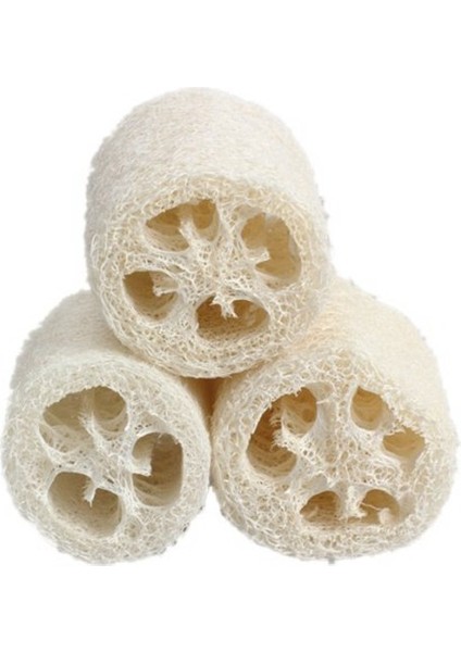 3pcs Doğal Lif Kabağı Banyo Vücut Duşu Süngeri Scrubber (Büyük) (Yurt Dışından) fırsatları