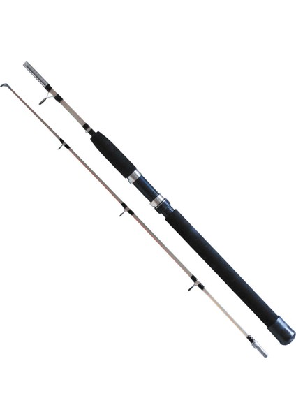 Storm 2.70 M 2 Parça 150-300 Gram Atarlı Silikon Dolgu Olta Kamışı