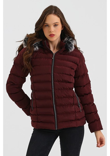 Kadın Bordo Kısa Mont modelleri