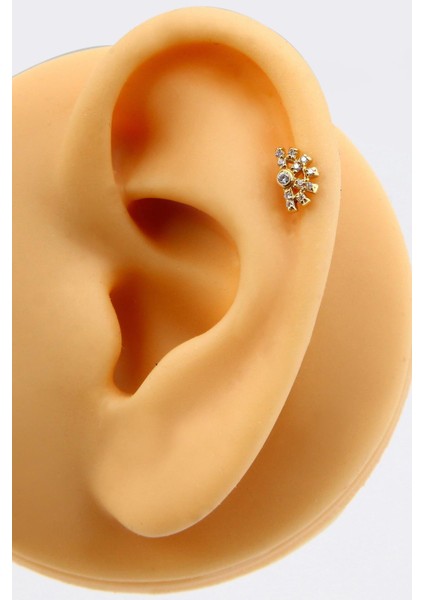 Altınkesesi 14 Ayar Altın Taşlı Kıkırdak Küpe Tragus Helix