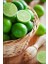 Tüplü Lime Limon Fidanı 1