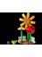 Friends 30659 Flower Garden 3