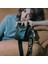 Düz Siyah Stil С Доставкой Youthful Sweet Pu Leather Crossbody Bags For Womewinter Fashion Small Shoulder Luxury Handbag Female Chain Bag (Yurt Dışından) 3