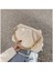 Mavi Stil New Thick Chain Shoulder Bags For Women Pu Leather Pleated Cloud Bag Simple Crossbody Bag Casual Ladies Bag Designer (Yurt Dışından) 2