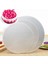GÜMÜŞ-24CM-10 Adet Tarzı Meibum cm Gümüş Tek Kullanımlık Kek Daire Taban Panoları Yuvarlak Kaplamalı Cakeboard Hamur Işleri Tepsi Kek Tabağı Süslemeleri Teşhirleri (Yurt Dışından) 2