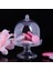 Beyaz Stil Plastik Mini Kek Standı Mini Kek Kubbe Cupcake Standı Kapaklı Kek Tabağı (Yurt Dışından) 5