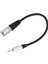 0.3 Metre 3.5mm Erkek Jack Tak 3 Pin Xlr Erkek Korumalı Stereo Kablo Mikrofon Ses Kaydı Için (Yurt Dışından) 1