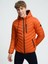 Regular Fit Erkek Mont 2