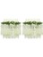 24 Paket (43.2 Ft) Yapay Wisteria Asma Wisteria Asılı Çelenk Ipek Uzun Dize Ev Partisi Dekoru (Yurt Dışından) 1