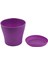3x Plastik Bitki Saksı Ekici Tabak Tepsisi Yuvarlak Parlak Ev Bahçe Dekoru, Mor Üst, 14 Cm/5.51 Inç (Yurt Dışından) 1