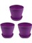3x Plastik Bitki Saksı Ekici Tabak Tepsisi Yuvarlak Parlak Ev Bahçe Dekoru, Mor Üst, 14 Cm/5.51 Inç (Yurt Dışından) 2