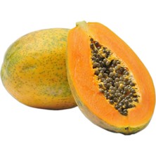 Tohumcumm Papaya Ağacı Tohumu 3 Adet Ithal Tropikal Papaya Ağacı Tohumu + Saksı + Toprak