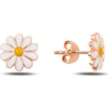 Bigakan Kadın Gümüş Papatya Küpe Rose Renk
