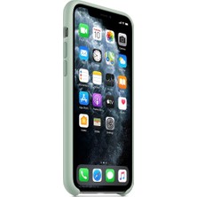 Ige Apple iPhone 11 Lansman Silikon Kılıf