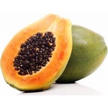 Tohumcumm 15 Adet Tohum Eko Paket Papaya Ağacı Tohumu Tropikal Papaya Ağacı Tohumu