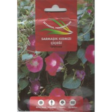 İstanbul Tohumculuk Sarmaşık  Kırmızı Çiçek Tohumu