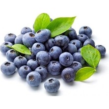 Ata Tohumculuk 10 Adet Tohum Yaban Mersini Tohumu Blueberry Tohumu Süpriz Hediye Tohumu