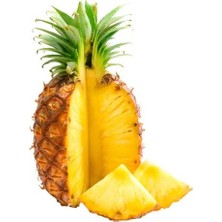 Ata Tohumculuk 15 Adet Ananas Meyve Tohumu Ananas Tohumu Yeni