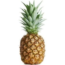 Ata Tohumculuk 15 Adet Ananas Meyve Tohumu Ananas Tohumu Yeni