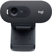 Logitech C505E Hd HD Uzun Mesafeli Mikrofonlu Business Web Kamerası - Siyah