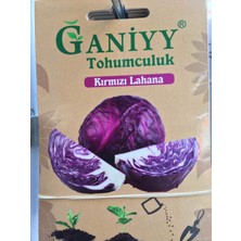 Ganiyy Kırmızı Lahana Tohumu Güvenilir