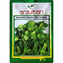 Arzuman Maydanoz Tohumu (Ince Yaprak) 25 gr Aromatik Kokulu