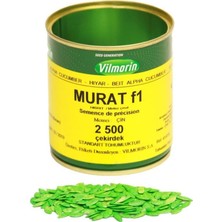 Murat F1 2500 Çk (Hibrit Oturak Hıyar) Vilmorin