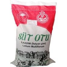 İlk Adım Reygrass Otu (Süt Otu) Tohumu 5  kg Sertifikalı