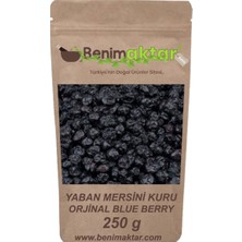 Benim Aktar Benimaktar Yaban Mersini Blueberry 250 gr