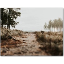 Cakatablo Ahşap Tablo Ağaçlar Arasındaki Patika ve Tepeler