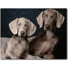 Cakatablo Ahşap Tablo Sevimli Kahverengi Weimaranerler