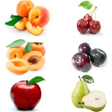 Ev Ve Bahçe Özel Seçim Soğuk Bölgeler Için Uygun Olan Aşılı Karışık Meyve Fidanı Paketi