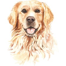 Sticker Fabrikası Köpek Sticker 00744