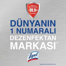 Lysol Dezenfektan Sprey Bahar Ferahlığı 2'li, Yüzeyler Için, 2 x 400 ml