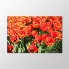 Arty Tablo Laleler Tablo