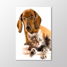 Arty Tablo Köpek ve Kedi Tablo