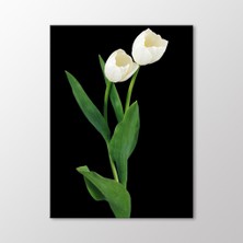 Arty Tablo Beyaz Laleler Tablo